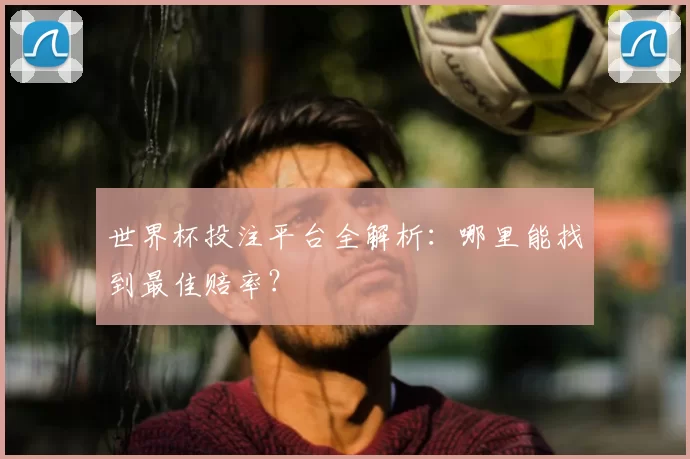 世界杯投注平台全解析:哪里能找到最佳赔率?