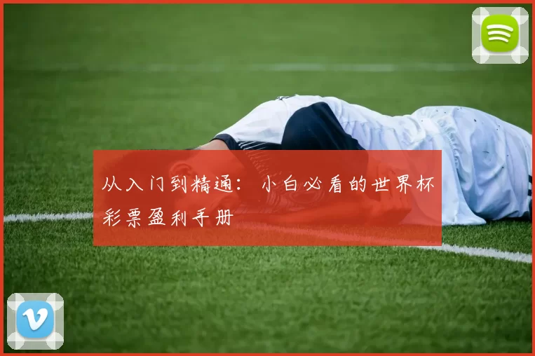 从入门到精通:小白必看的世界杯彩票盈利手册