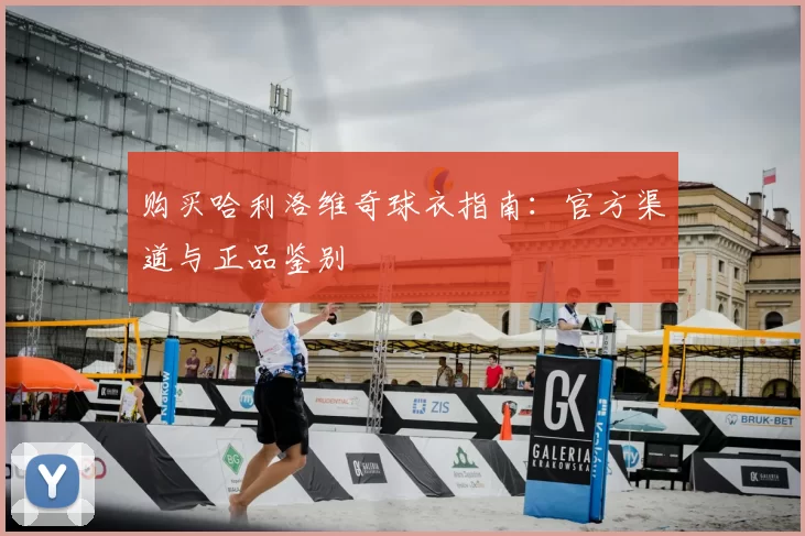 购买哈利洛维奇球衣指南:官方渠道与正品鉴别