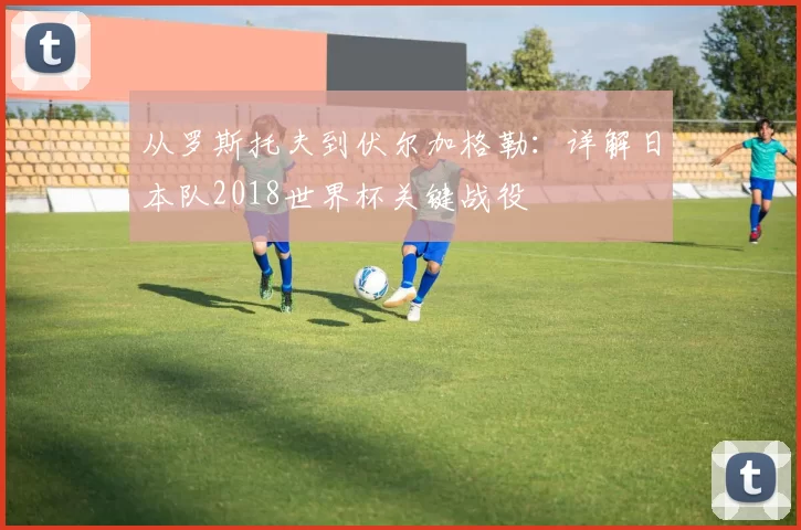 从罗斯托夫到伏尔加格勒:详解日本队2018世界杯关键战役