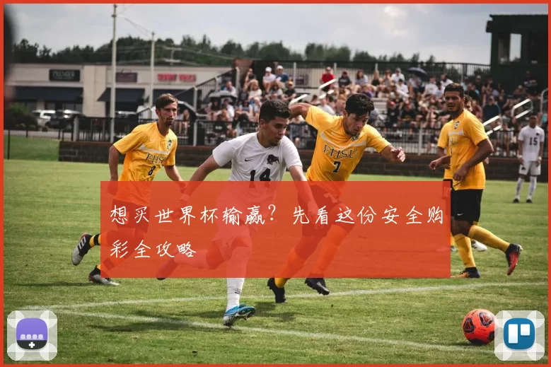 想买世界杯输赢?先看这份安全购彩全攻略