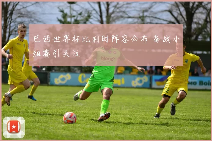 巴西世界杯比利时阵容公布 备战小组赛引关注