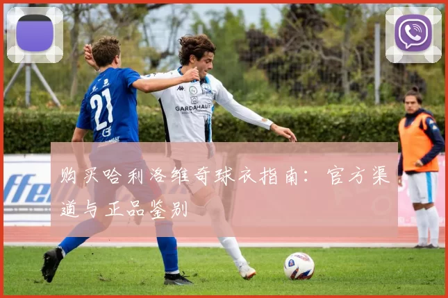 购买哈利洛维奇球衣指南:官方渠道与正品鉴别