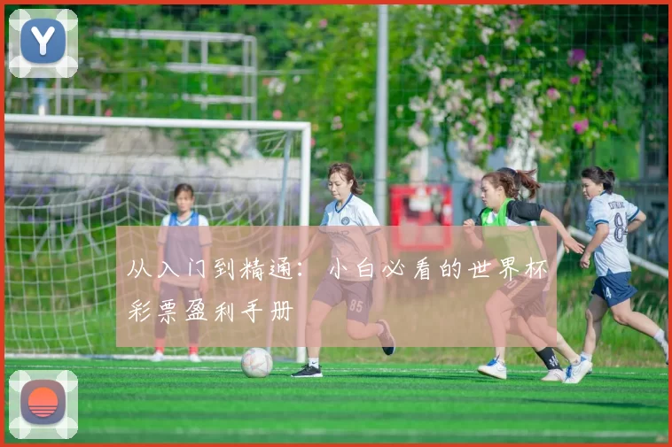 从入门到精通:小白必看的世界杯彩票盈利手册