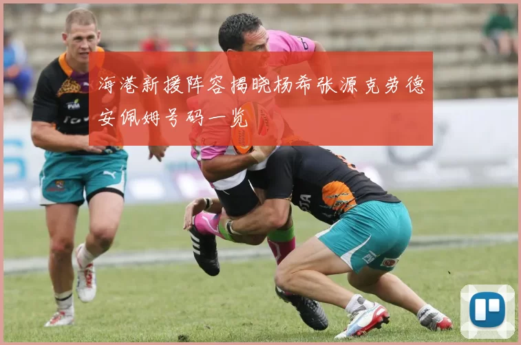 海港新援阵容揭晓杨希张源克劳德安佩姆号码一览