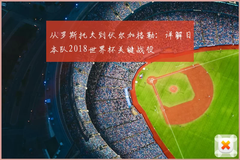 从罗斯托夫到伏尔加格勒:详解日本队2018世界杯关键战役